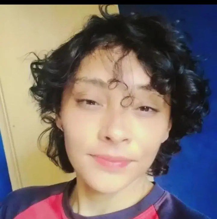 Almeida Fer